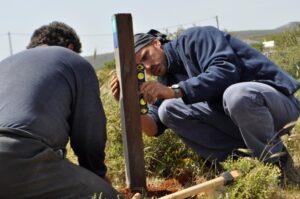 Fivos Tsaravopoulos.