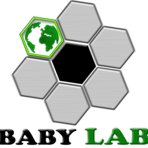 Logo Babylab